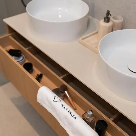 فيلة Valea Excelsior *