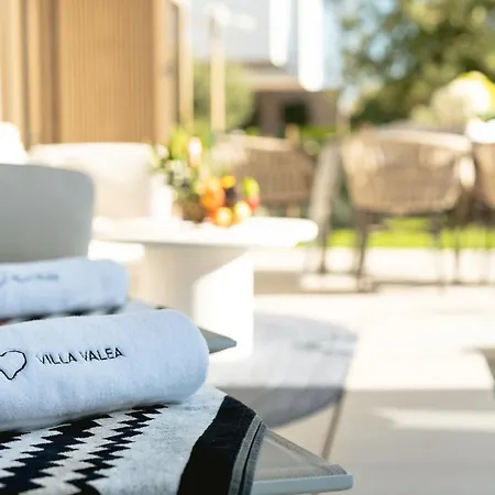 فيلة Valea Excelsior