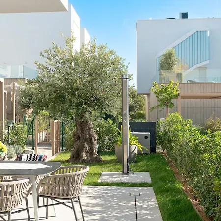 Valea Excelsior * توراني