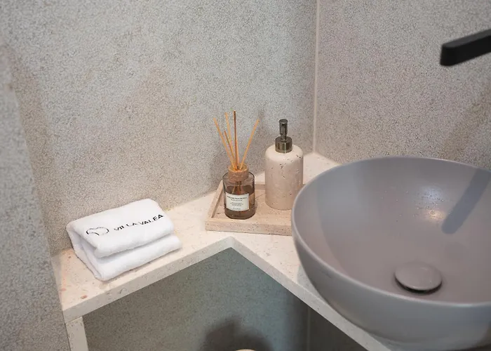 Valea Excelsior Vila *